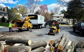 Reliable Chicago, IL Tree Removal and Landscaping Services Solutions